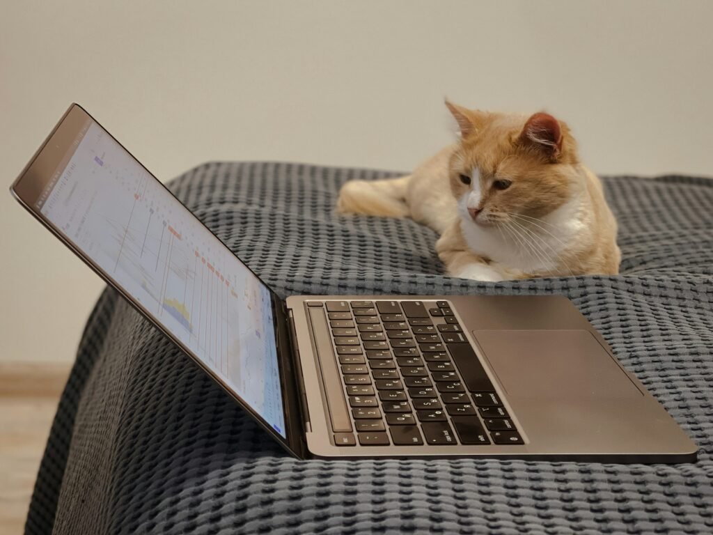 Money Crypto News